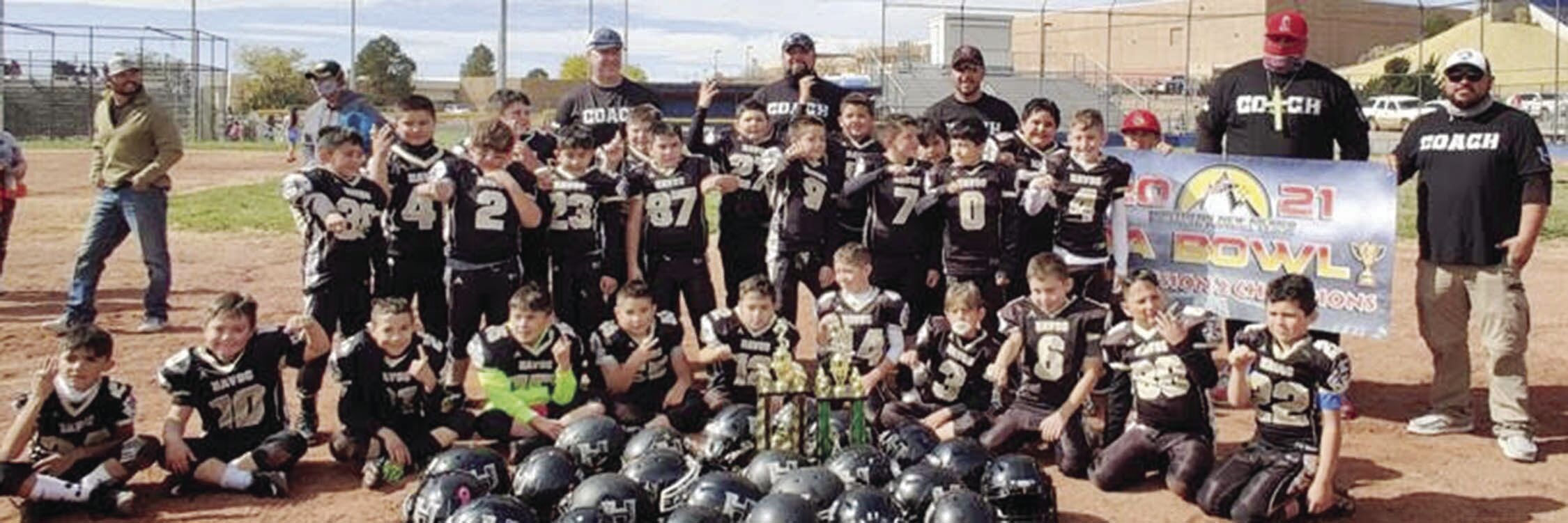 Havoc Division 2